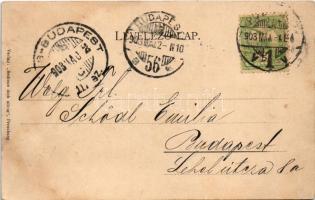 1903 Pozsony, Pressburg, Bratislava; Bediene dich allein (fl)