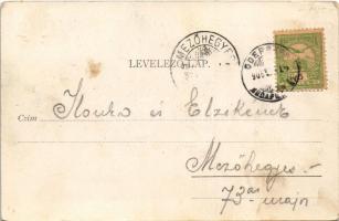 1905 Zólyom, Zvolen; vár, vasút / Zvolensky zámok / castle, railway tracks (fl)