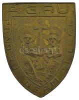 Románia ~1940. AGRU - Pentru neam si lege bronz jelvény T:XF Romania ~1940. AGRU - Pentru neam si lege bronze badge C:XF