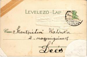 Budapest V. Rudolf rakpart. Szecessziós dombornyomott litho lóherével / Art Nouveau, embossed litho ...