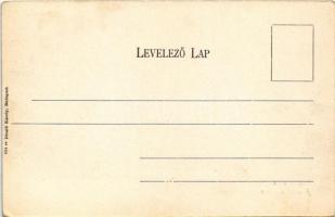 1909 Budapest I. Kilátás a Vérmezőről. Divald Károly 624