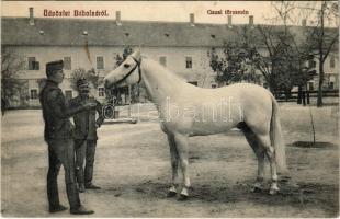 Bábolna, Gazal törzsmén ló, katonák. Fischer Gyula kiadása (ázott sarok / wet corner)