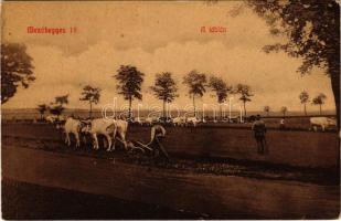 1910 Mezőhegyes, aratás a táblán. Kruchió E. 578. (W.L. ?)