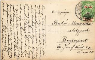 1914 Kecskemét, Idyll, cigányok ebédet főznek a kertben. photo (EK)