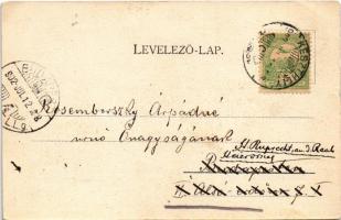 1902 Keszthely, Balaton-part, gőzhajó. Kampmann H. kiadása