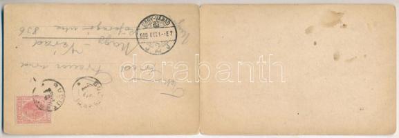 1900 Bucharest, Bukarest, Bucuresti, Bucuresci; 2-tiled folding panoramacard. Römmler & Jonas (t...