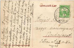 1911 Leányfalu, Kalivoda villa. Ecker Sándor kiadása (EK)