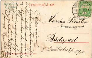 1911 Bábolnapuszta, Simmenthali tehenek (ázott / wet damage)