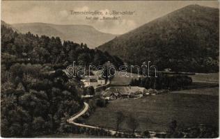 1910 Trencsénteplic, Trencianske Teplice; Auf der "Baracska" / látkép. Wertheim Zsigmond kiadása / general view