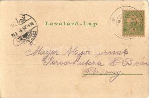 1905 Pozsonyborostyánkő, Stupavsky Podzámok, Borinka (Stomfa, Stupava); Borostyánkő vára este. Ferd....