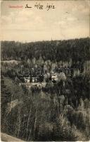 1912 Stószfürdő, Stoósz-fürdő, Kúpele Stós; látkép. Wlaszlovits Gusztáv kiadása / general view, spa (kis szakadás / small tear)