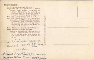 Mezőhegyes, M. kir. állami ménesintézet, magyar fésűs merino törzskosok, anyajuh borjával. Szakál Gé...