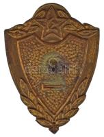 Szovjetunió ~1980. "II. osztályú katona" zománcozott bronz kitüntető jelvény csavaros hátl...