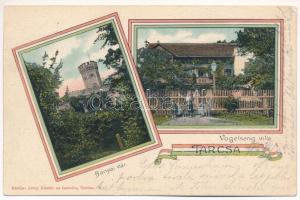 1906 Tarcsa, Bad Tatzmannsdorf; Bányai vár és Vogelsang Villa. Löwy Gusztáv és testvére kiadása, magyar szalagos keret / Schloss / castle, villa. Hugarian ribbon (EK)