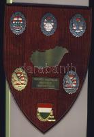 DN 7db klf repülős emlékplakett "Honvéd Vezérkar Kiképzési Csoportfőnök", falapra montírozva, eredeti díszdobozban