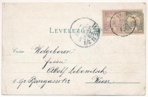 1900 Fraknó, Forchtenstein; Schloss Forchtenstein / Fraknó vára. Samuel Schön kiadása / castle. Art ...