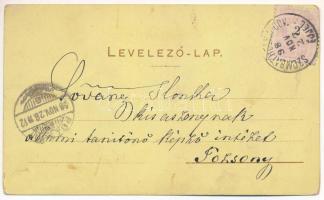 1898 (Vorläufer) Rohonc, Rechnitz; Fő tér, kilátó torony, várkastély, Faludy völgy és fürdő / Hauptp...