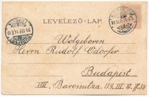 1899 (Vorläufer) Kismarton, Eisenstadt; Schloss Eszterhazy / kastély / castle. Ludwig F. Kummert Art...