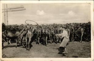 Hortobágy, Élet a Hortobágyon, Pányvavető csikós, magyar folklór (fl)