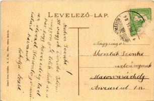 1915 Dicsőszentmárton, Tarnaveni, Diciosanmartin; megyeháza. László Géza kiadása / county hall (Rb)