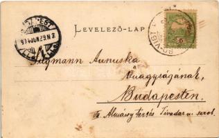 1904 Fogaras, Fagaras; Fogaras vármegye szék-háza, megyeháza / county hall