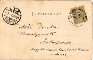 1903 Nagyenyed, Aiud; Fő tér és megye székháza, Bisztritsány Lajos üzlete. Fenchel Lázár kiadása / m...