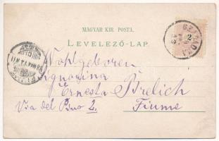 1898 (Vorläufer) Szabadka, Subotica; Palics fürdő, Társalgó terem, Fasor, Terézia templom, Törvénysz...