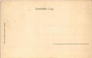 Zsolna, Zilina; Hrad Budatín / Budatin vára a Vágnál. Biel és Jellinek kiadása / Schloss Budatin a. ...