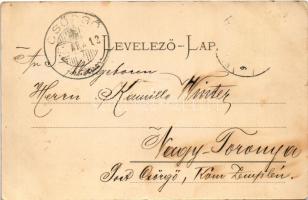 1907 Zsolna, Zilina; Hrad Budatín / Budatin vára a Vág völgyében. Gansel Lipót 182. / castle, Váh ri...