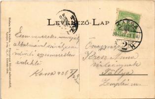 1906 Nagysáros, Velky Saris; II. Rákóczi Ferenc elfogatásának helyszíne, belső. Holénia Béla kiadása...