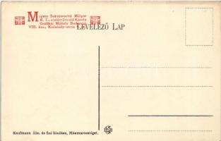 Huszt, Chust, Khust; várrom. Kaufmann Ábr. és fia kiadása / hrad / castle