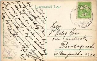 1910 Beckó, Beczkó, Beckov; vár, Schwarz Vilmos üzlete. Brück Gyula felvétele és kiadása / hrad / ca...