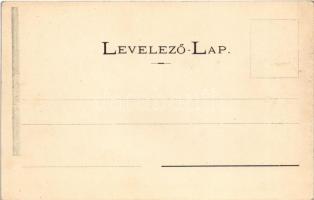 Blatnica (Turócszentmárton), vár keletről. Sochán P. 87. / Blatnicky hrad / castle