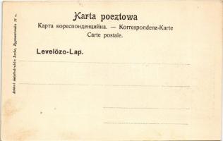 Czorsztyn, Csorsztin; Widok od str. pólnocnej / castle ruins (fl)