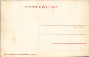 Nagybossány, Velké Bosany (Bossány); Nagy-Bossányi Bőrgyár, részvénytársaság azelőtt Schmitt Adolf é...