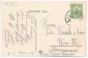 1908 Brassó, Kronstadt, Brasov; Lópiac, Ed. G. Dik és Adolf Gross üzlete / Rossmarkt / Targul Cailor...