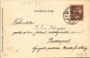 1901 Kecskemét, Fő tér. Schwarcz Soma kiadása, szecessziós litho keret virággal / Art Nouveau, flora...