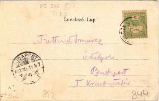 1903 Vihnye, Vihnyefürdő, Kúpele Vyhne; Új fürdőház. Joerges özv. és fia, szecessziós virágos litho ...