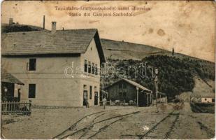 Topánfalva-Aranyosszohodol, Campeni-Sohodol; kisvasúti vasútállomás. Csiky Testvérek 2 sz. 1917. / railway station (fl)