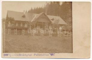 Palotailva, Palota-Ilva, Lunca Bradului; erdészlak / forestry house. photo (EK)