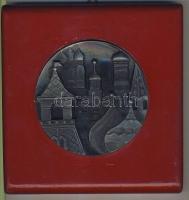 DN 2db dekoratív, nagyalakú Br emlékplakett + 1db nagyalakú emlékplakett fára kasírozva + 1db nagyal...