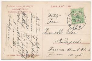 1912 Budapest XIV. Amizoni Országos Magyar Nőnevelő Intézet, baromfi udvar. Amerikai út 96