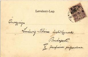 1901 Vác, Dunaparti korzó. Szecessziós virágos litho / Art Nouveau, floral, litho