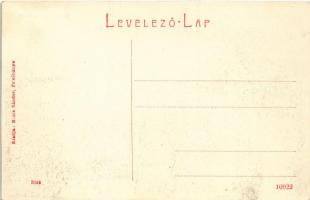 Felsőbánya, Baia Sprie; Nagybányai utca. Bonis Sándor kiadása / street