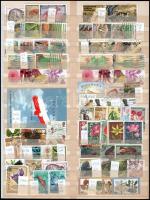 Tigan / Zigeuner / Cigány / gypsy. Jos. Drotleff Nr. 662. Sibiu - Hermannstadt (Nagyszeben)