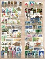 Tigan / Zigeuner / Cigány / gypsy. Jos. Drotleff Nr. 662. Sibiu - Hermannstadt (Nagyszeben)