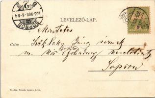 1905 Léva, Levice; Piac tér, Engel József üzlete. Schulz Ignác kiadása / square, shop