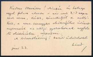 Berzeviczy Albert (1853-1936) politikus, történetíró, egykori miniszter, a Magyar Tudományos Akadémi...