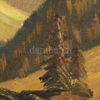 F Koch jelzéssel: Alpesi táj. Olaj, farost. 60x71 cm. Dekoratív, kissé sérült fakeretben