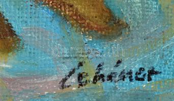 Schéner jelzéssel: Társaság. Olaj, vászon, faroston. 60,5x50 cm